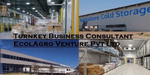 Cold Chain Consultant