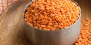 Red Lentils