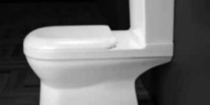 Summit Two Piece Toilet