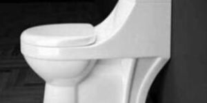 Suprimo One Piece Toilet