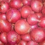 Fresh Red and White Onions