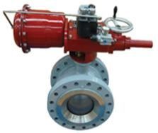 Special Application Valve