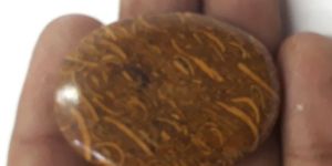 39 Cts 100# Natural Maryam Jasper Oval Shape Cabochon Loose Gemstone