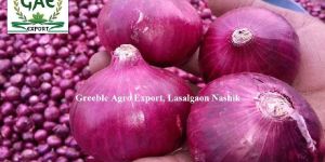 Nashik Onion