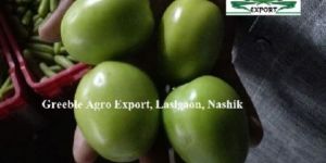 Fresh Green Tomato