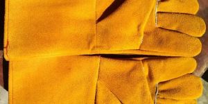 Yellow Colour Gloves