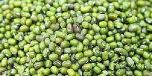 Green Mung Beans