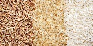 Indian Rice