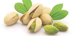 Pistachio