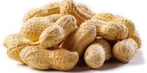 Shelled Peanuts