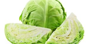 Fresh Cabbage