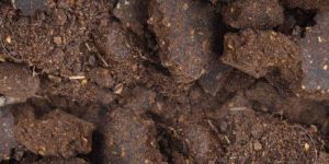 High Grade Fertilizer Neem Cake