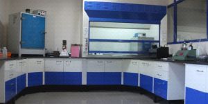 Laboratory Fume Hood with Oven