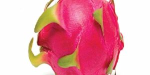 Fresh Dragon Fruit