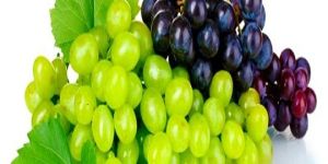 Fresh Grapes