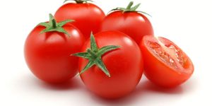 Fresh Tomato