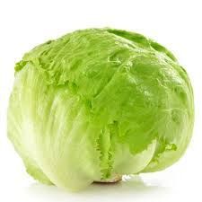 Fresh Iceberg Lettuce