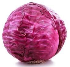 Fresh Purple Cabbage