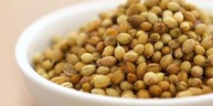 Coriander Seeds
