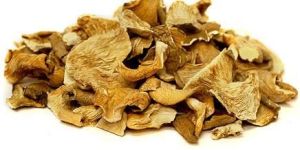 Dried Oyster Mushroom