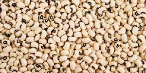 Indian Pulses