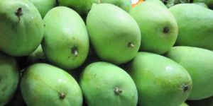 Fresh Green Mango