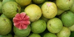 Fresh Red Guava