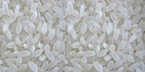 Non Basmati Short Grain White Rice