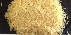 Sugandha Golden Sella Rice