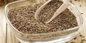 Cumin Seeds