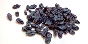 Black Raisins