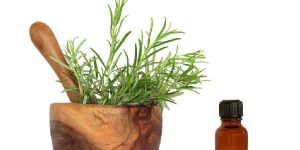 Rosemary Oil