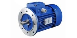 Flange Mounting Motor