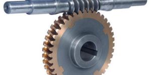 Worm Gear