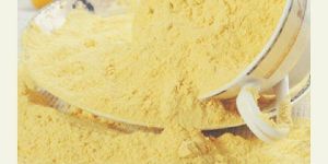 Spray Dried Mango Powder