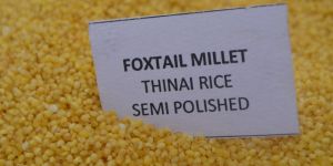 Foxtail Millet Semipolished (Thinai)