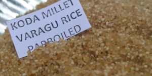 Koda Millet Parboiled ( Varagu)