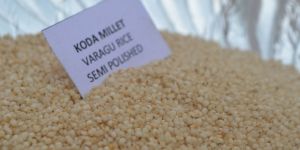 Koda Millet Semipolished (Varagu)