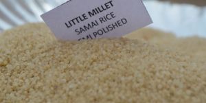Little Millet Semipolished (Samai)