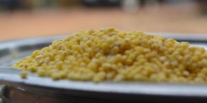 Semi Polished Proso Millet