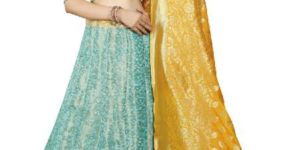 Jequard Silk Lahwenga Padhmavati