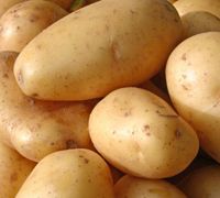 Fresh Potato