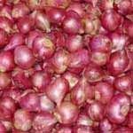 Red Onion