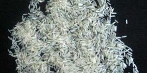 PBR-01 Pusa Basmati Rice