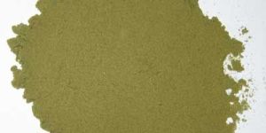 Bacopa Monnieri Extract