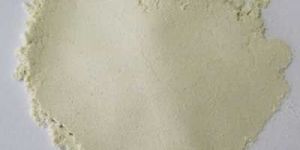 Boswellia Serrata Extract