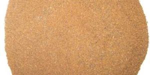 Coleus Forskohlii Extract