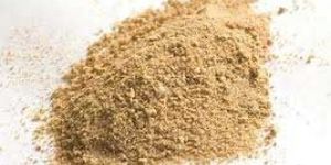 Morinda Citrifolia Powder