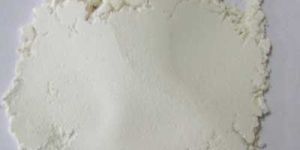 White Kidney Beans Extract