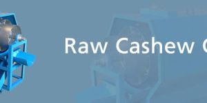 Raw Cashew Grader